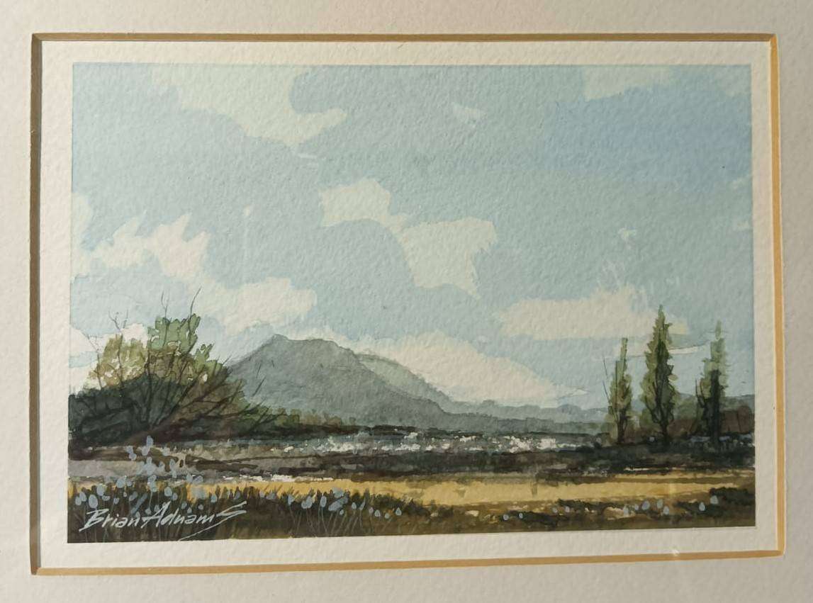Lovely Bryan Adnams (British Born SA Artist) Watercolour Mountain Landscape Frame 30cm W 25cm H