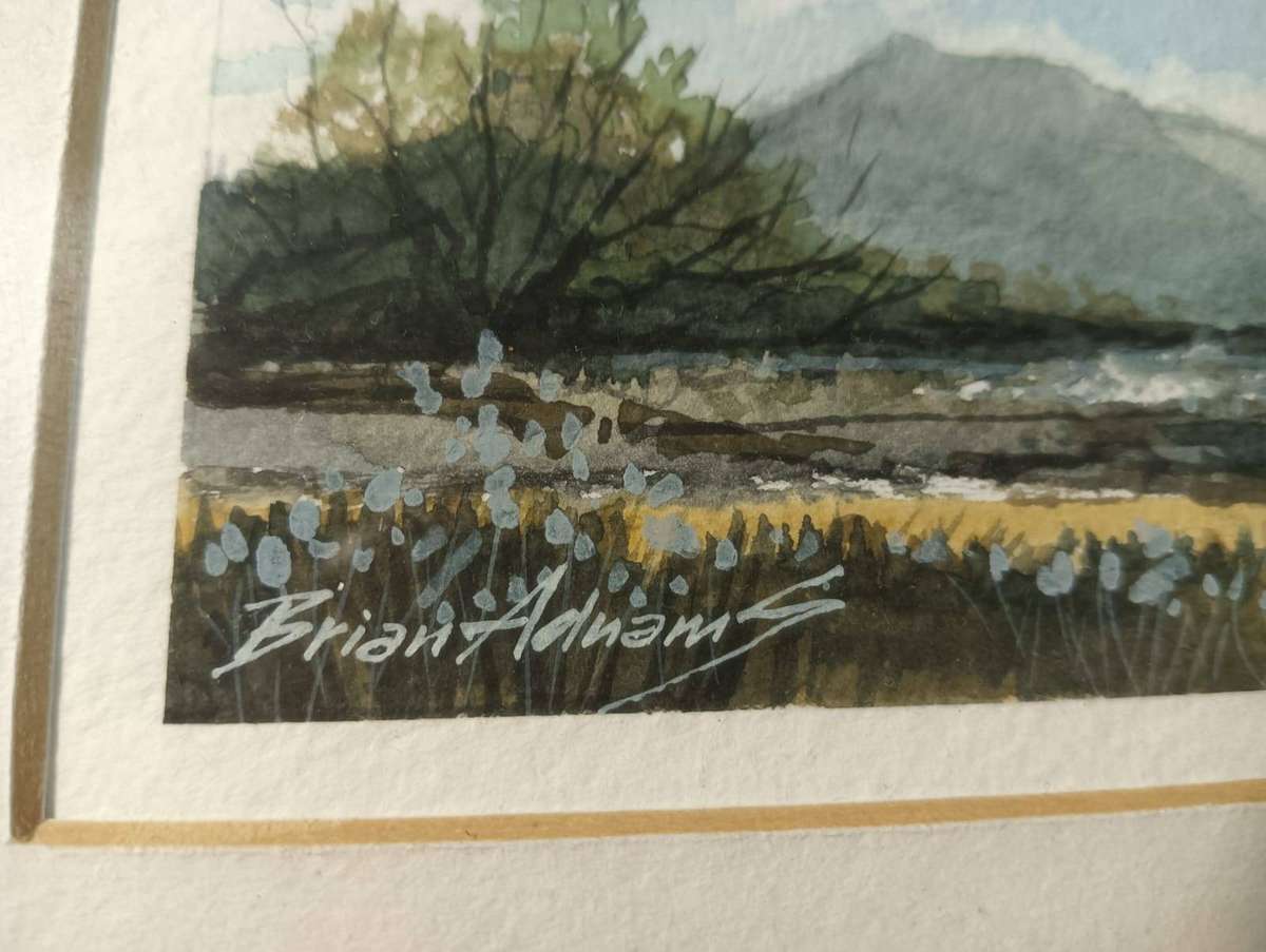 Lovely Bryan Adnams (British Born SA Artist) Watercolour Mountain Landscape Frame 30cm W 25cm H