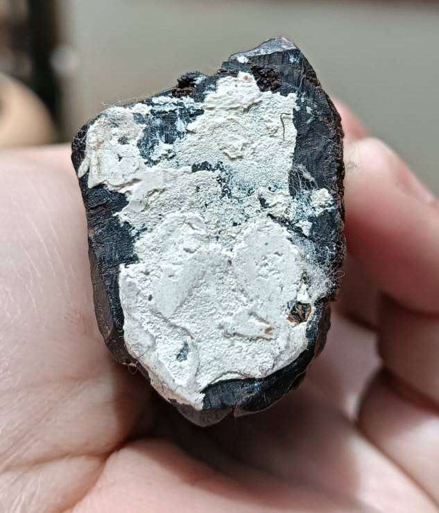 Hand Carved Ebony Wood Sculpture Makonde Tribe Tanzania 23cm High