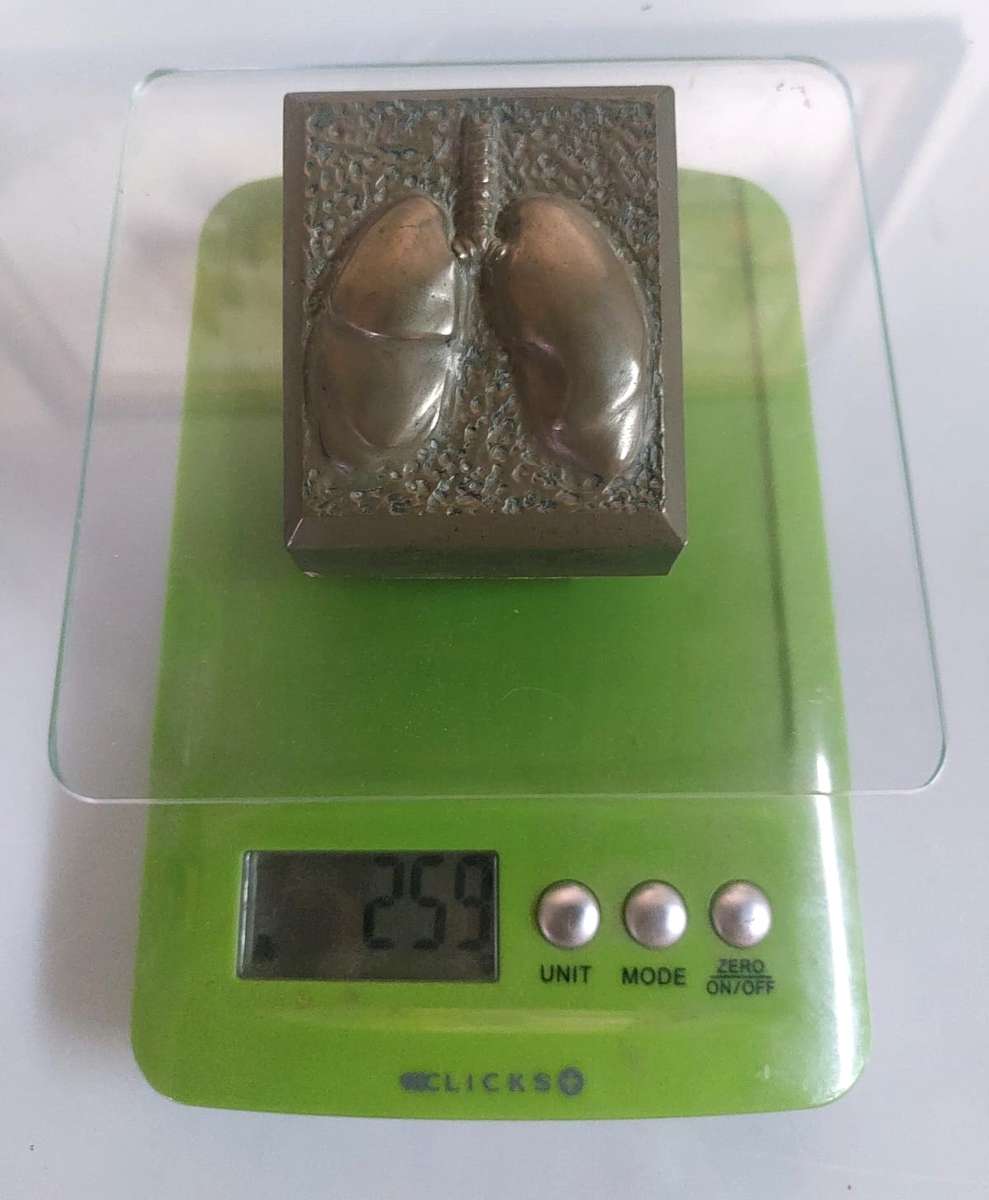 Five Medical Themed Paperweights: Lungs, Kidneys, Stomach, Femur, Hair