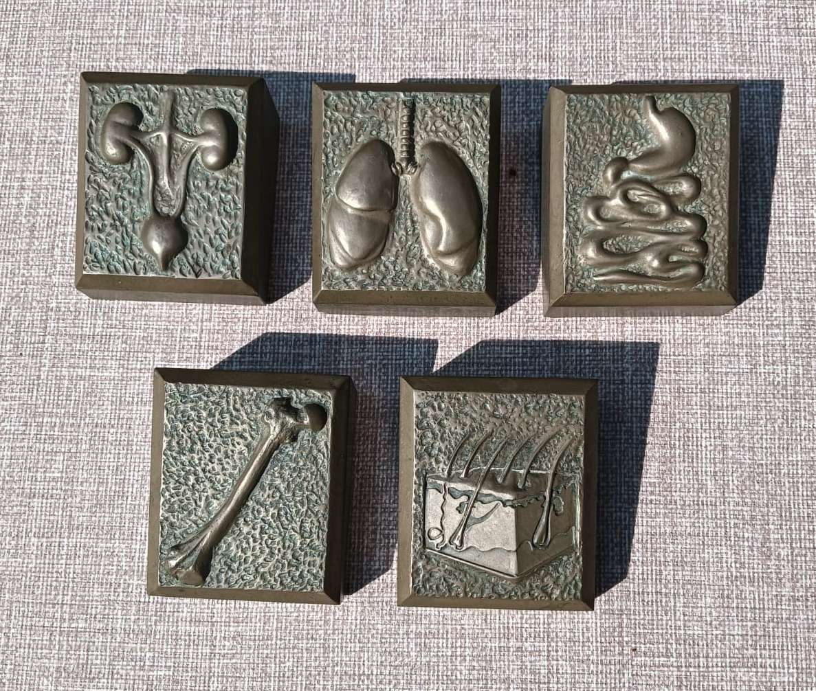 Five Medical Themed Paperweights: Lungs, Kidneys, Stomach, Femur, Hair
