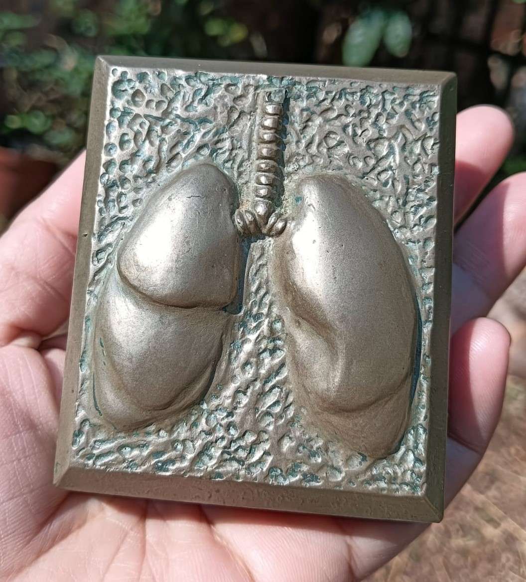 Five Medical Themed Paperweights: Lungs, Kidneys, Stomach, Femur, Hair