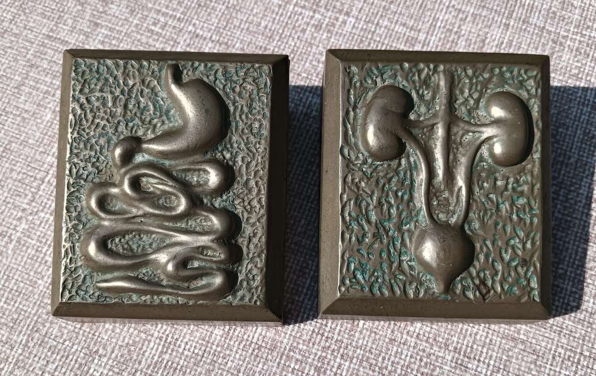 Five Medical Themed Paperweights: Lungs, Kidneys, Stomach, Femur, Hair