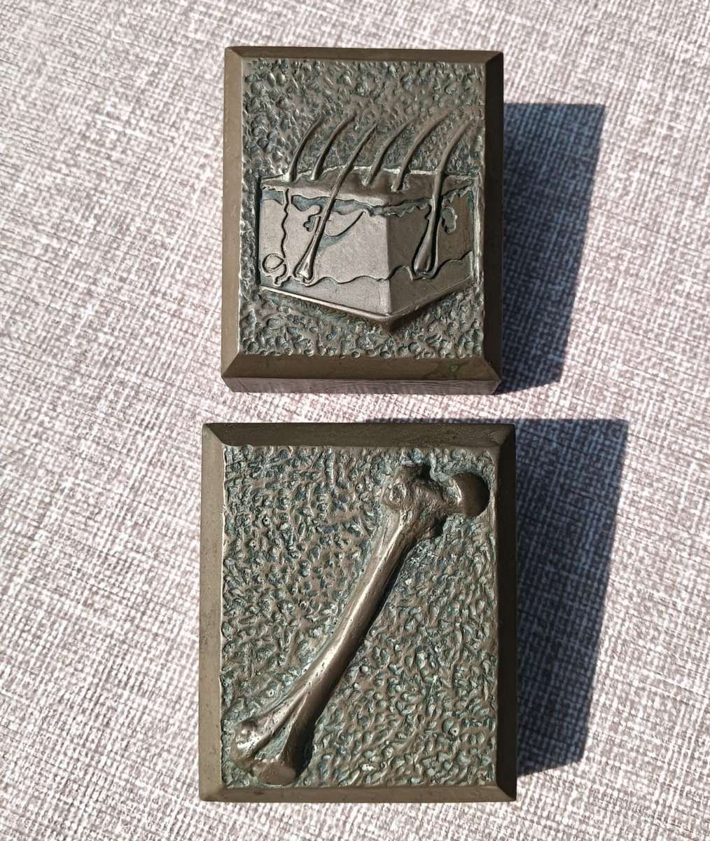 Five Medical Themed Paperweights: Lungs, Kidneys, Stomach, Femur, Hair