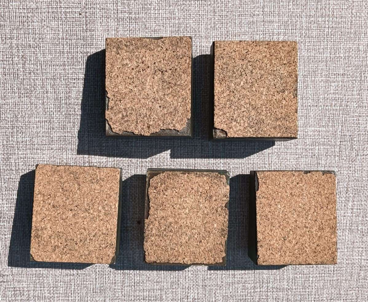 Five Medical Themed Paperweights: Lungs, Kidneys, Stomach, Femur, Hair