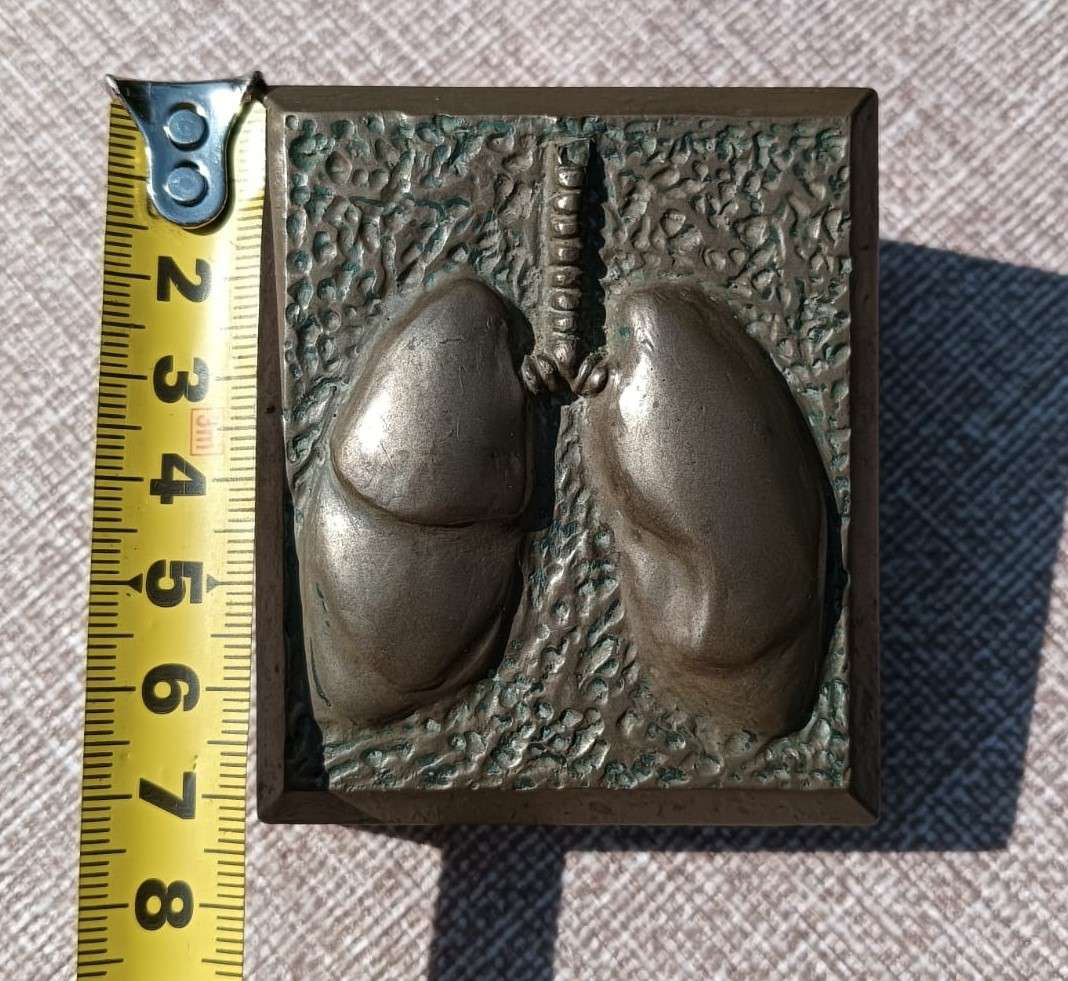 Five Medical Themed Paperweights: Lungs, Kidneys, Stomach, Femur, Hair