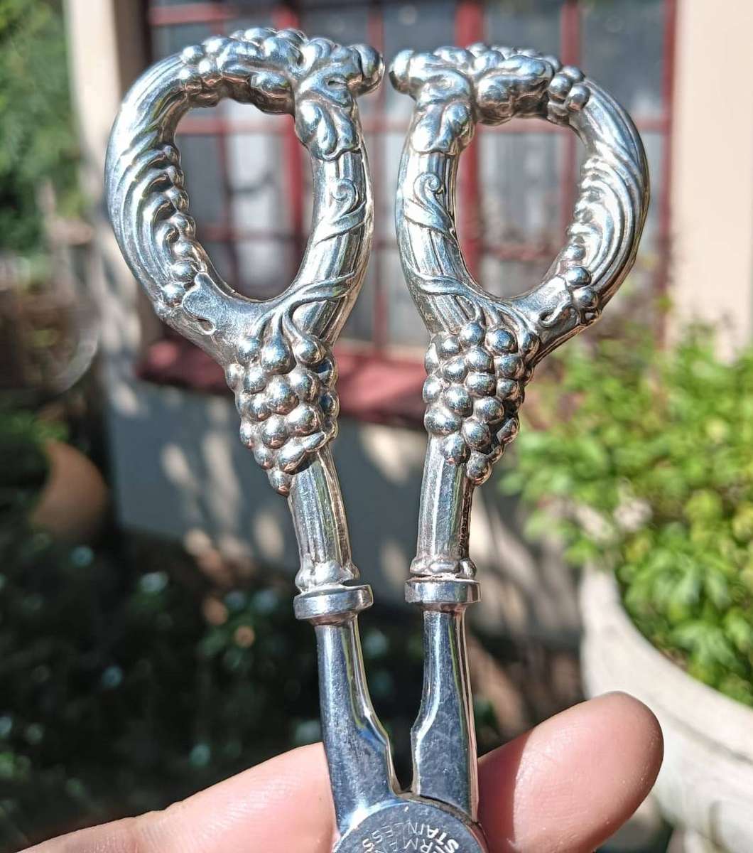 Antique German Gould Silver Co Grape Scissors with Sterling Silver Handles Total Weight 77g