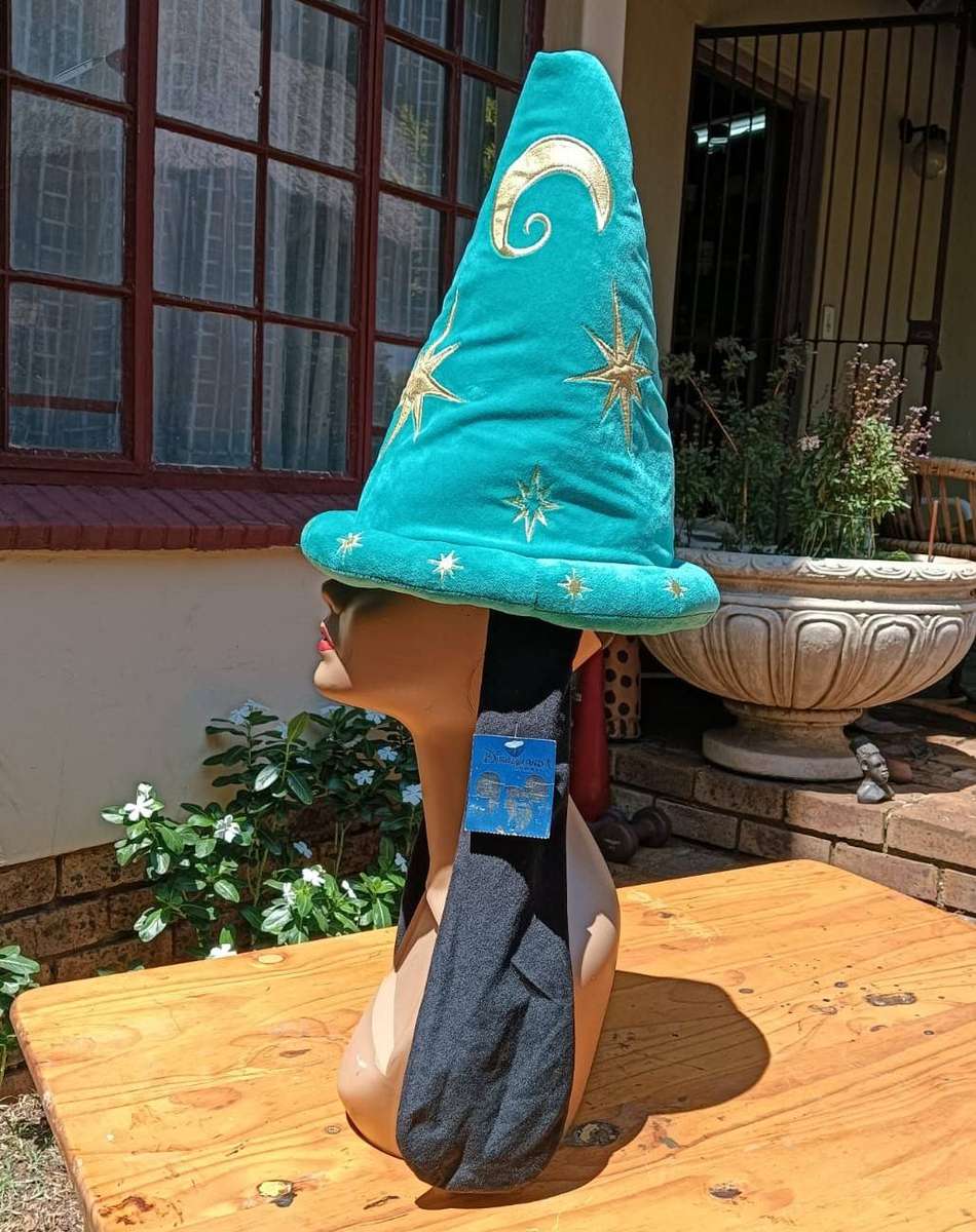 Goofy Goofy Wizard Hat Special 2012 Disneyland Paris 20th Anniversary  Adjustable Size