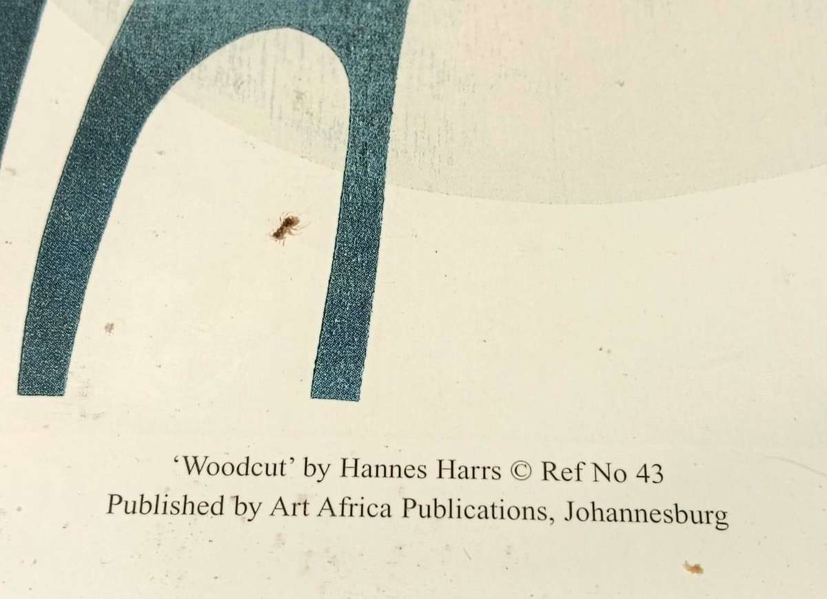 Hannes Harrs (1927-2006) Framed Colour Woodcut Print Abstract Giraffe Composition Signed Harrs 76