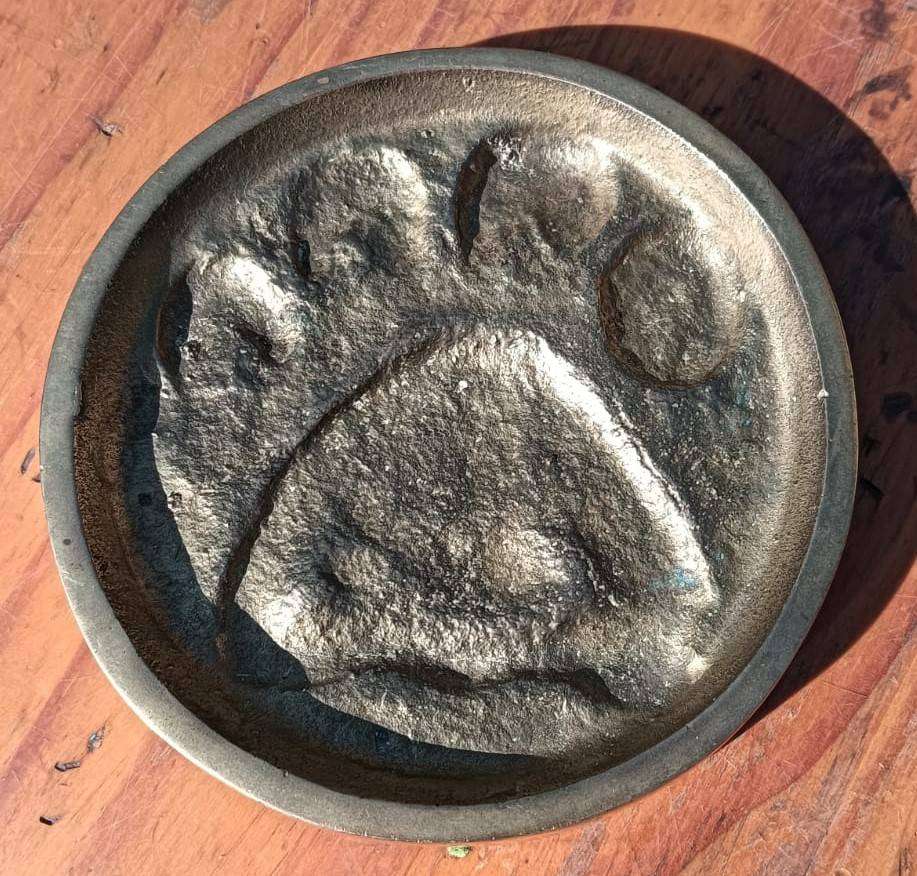 Real Leopard Spoor Immortalised in Brass by BW Genis 1988 - Panthera Pardus  1kg