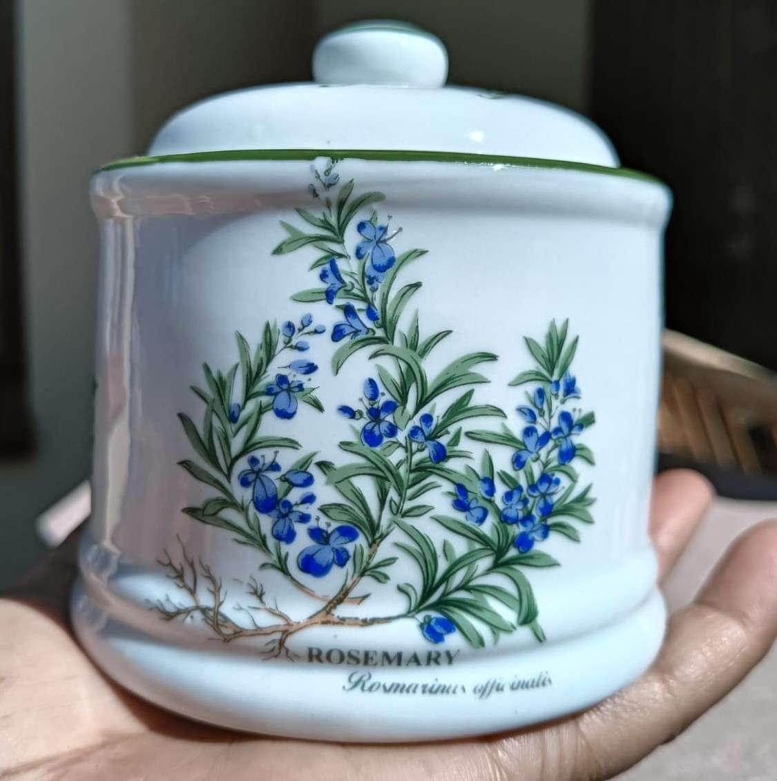 WIESENTHAL GERMANY HERB GARDEN ROSEMARY PORCELAIN CONTAINERS