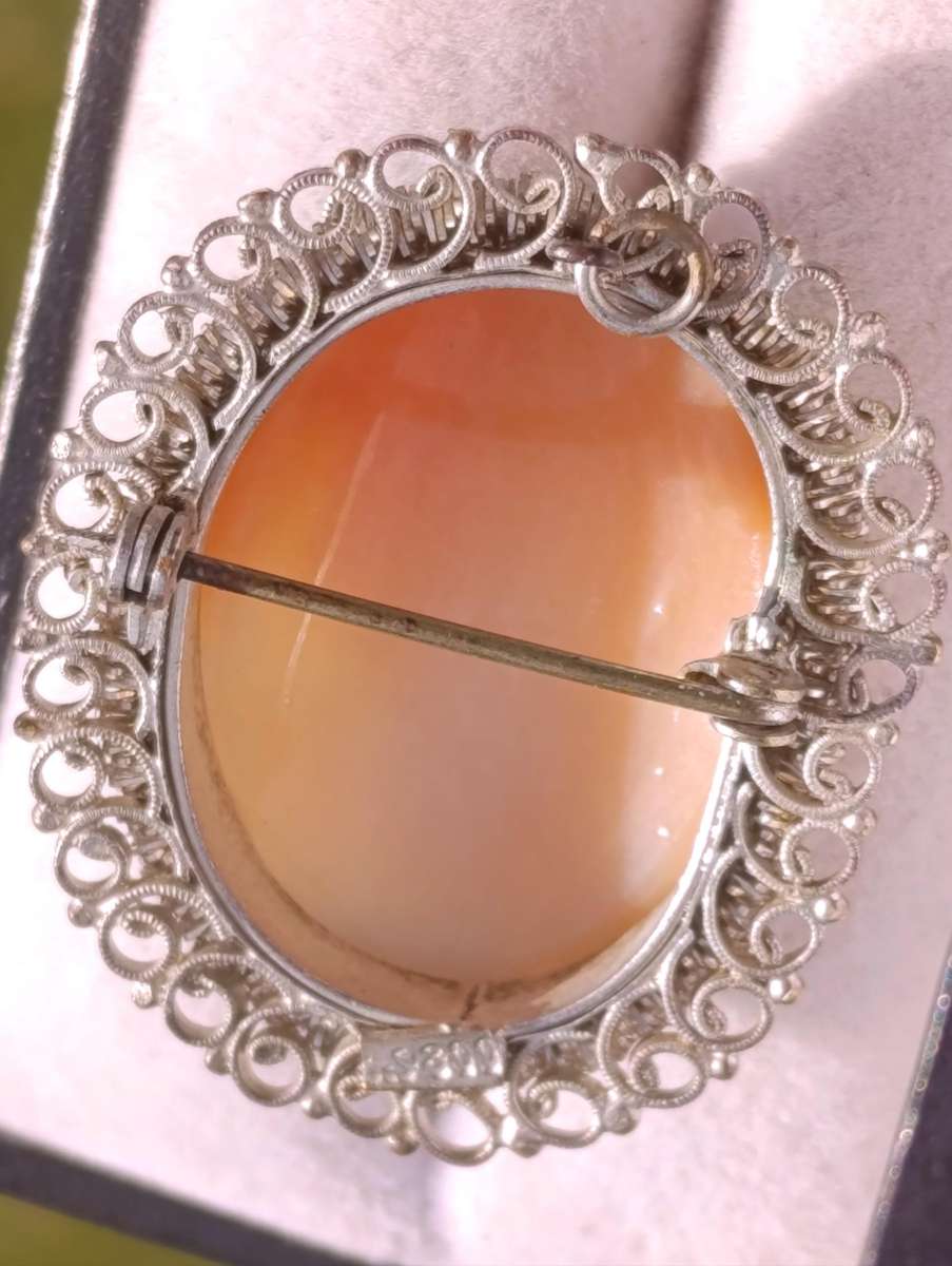 Vintage Cameo Pendant Brooch