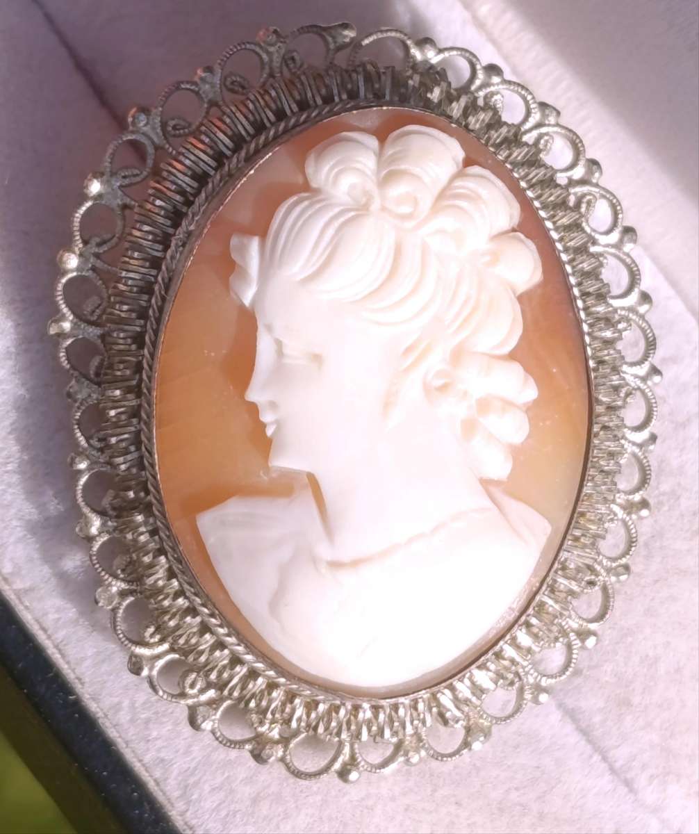 Vintage Cameo Pendant Brooch