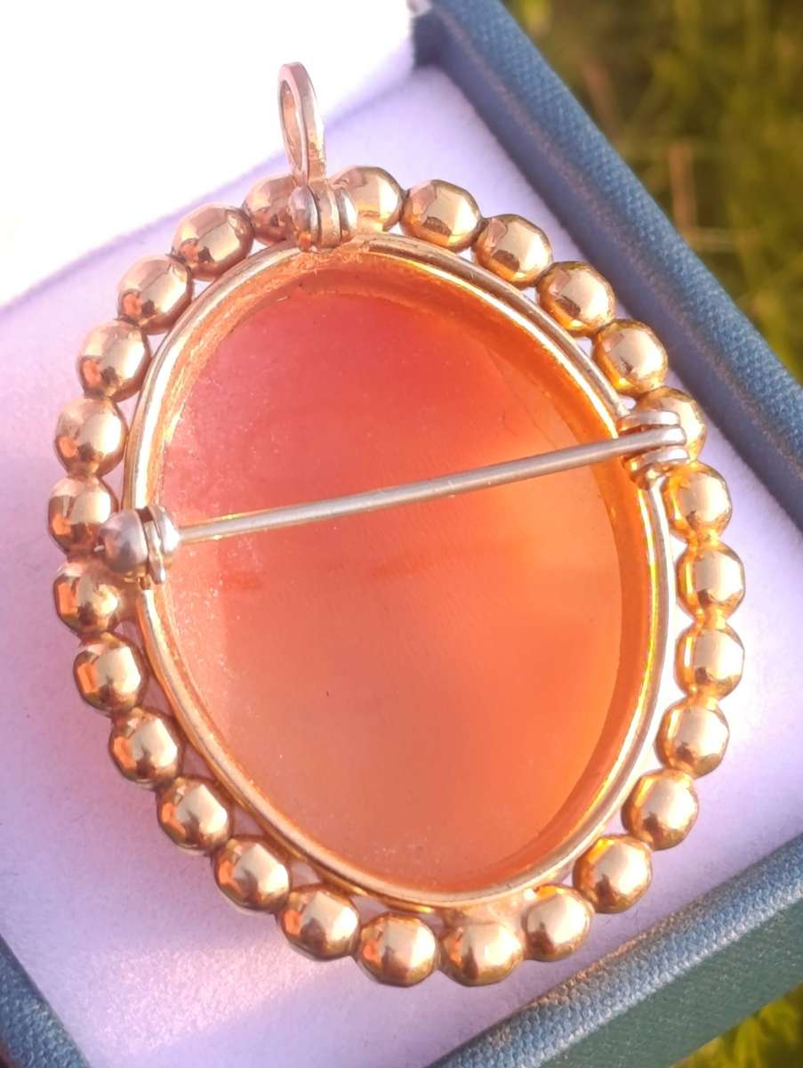 1/20th 12k Gold Van Dell Pendant/Brooch