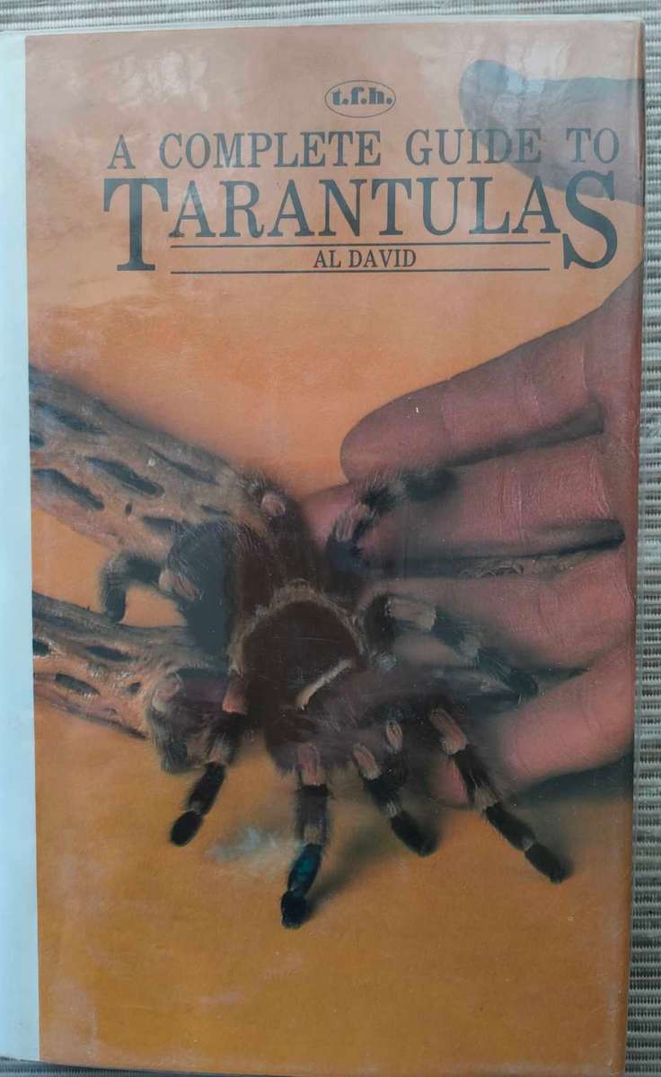A Complete Guide to Tarantulas