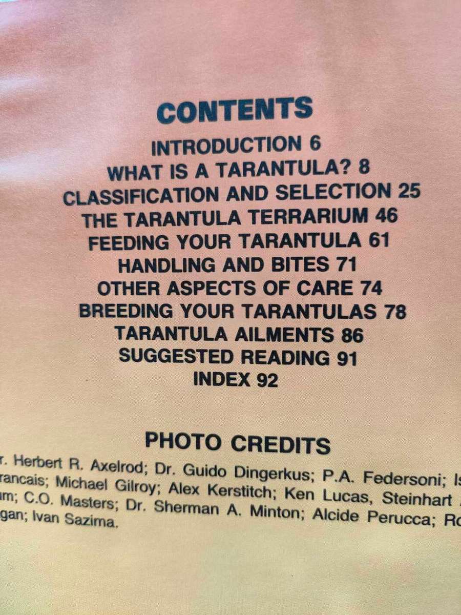 A Complete Guide to Tarantulas