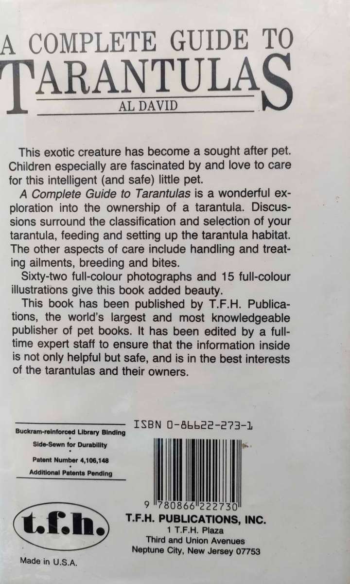 A Complete Guide to Tarantulas