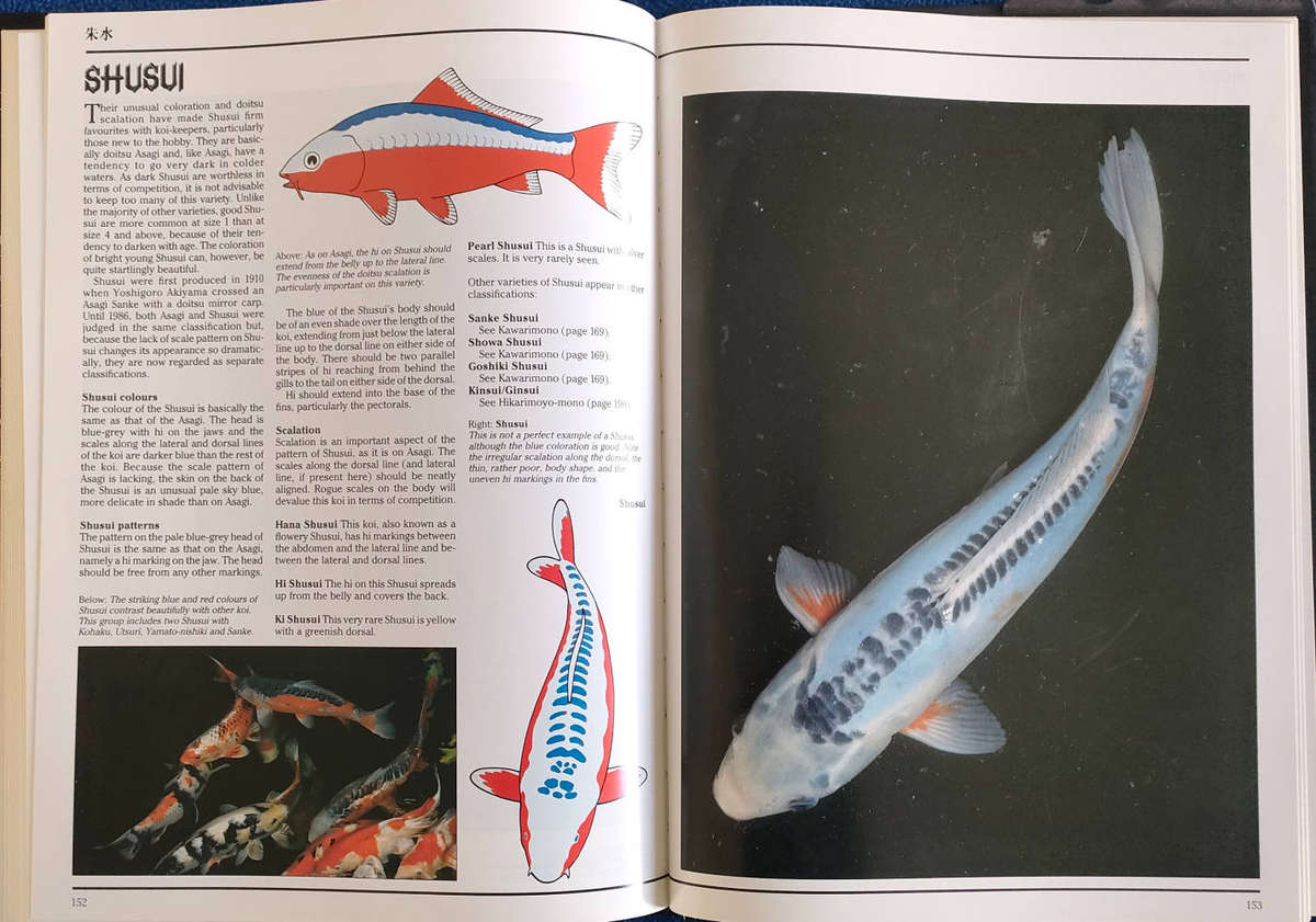 The Interpet Encyclopedia of Koi