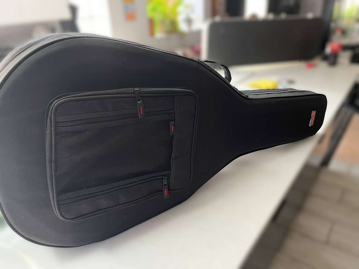 Ibanez Acoustic-Electric Guitar + Gator Hardcase  Excellent Condition ( AEL20E-TKS Guitar Model )