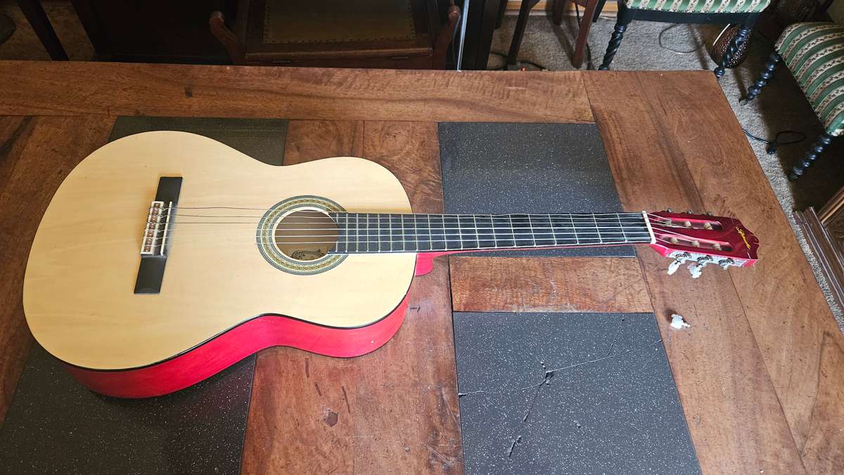 Ritmiller Guitar