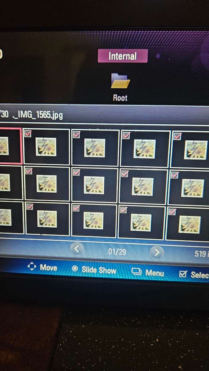 LG Digital Photo Display Unit. Model F8012N