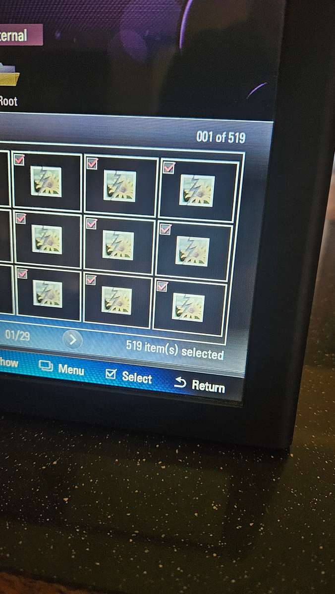 LG Digital Photo Display Unit. Model F8012N