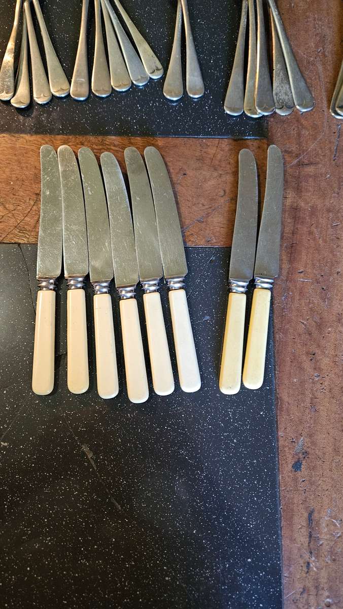 Vintage Bone Handle Cutlery