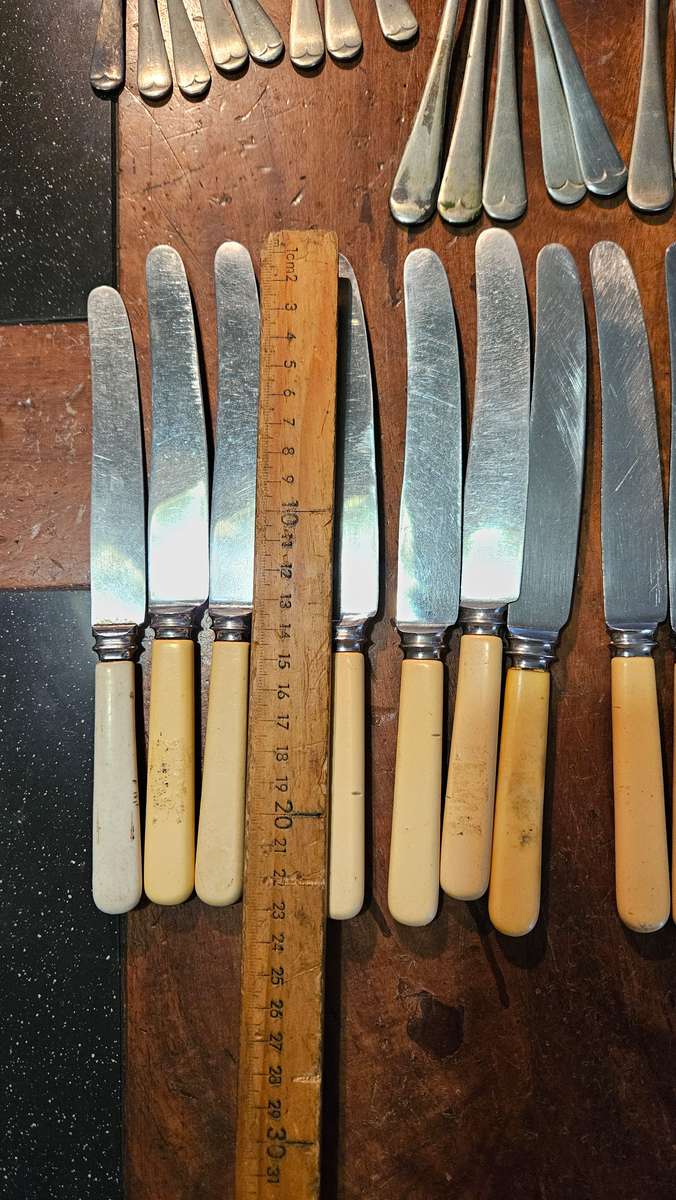 Vintage Bone Handle Cutlery