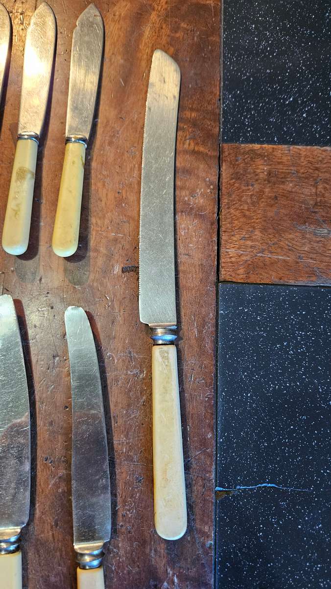 Vintage Bone Handle Cutlery