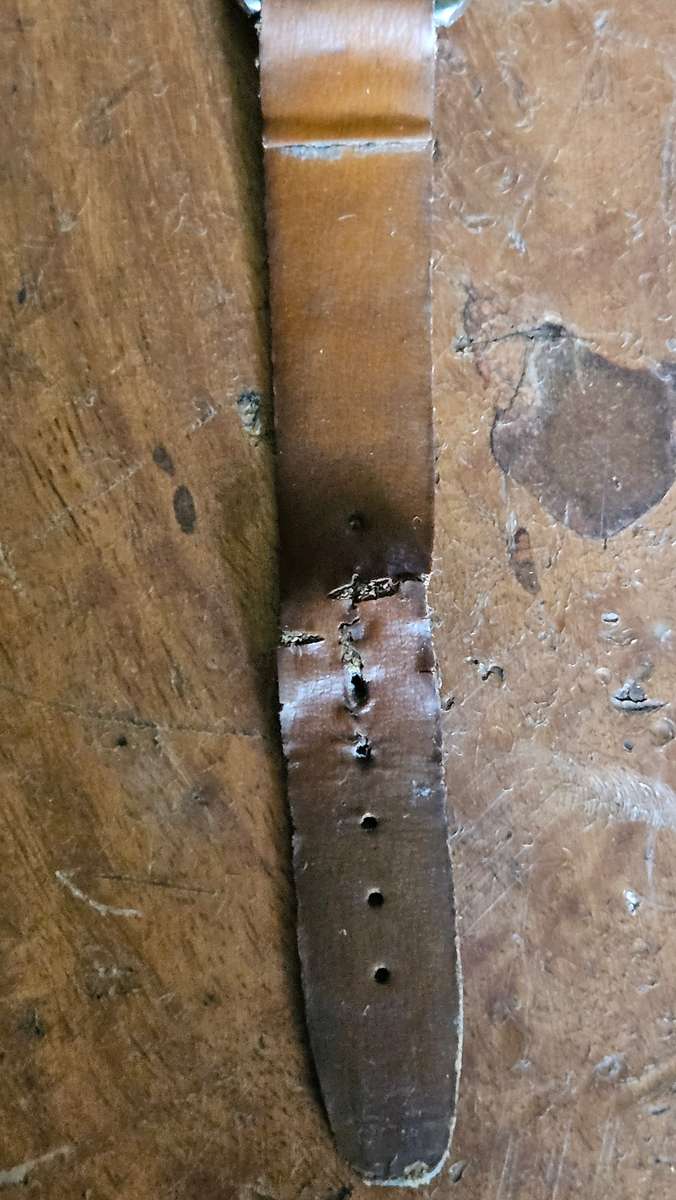 Rotary 21 Jewels Automatic Men's Wristwatch