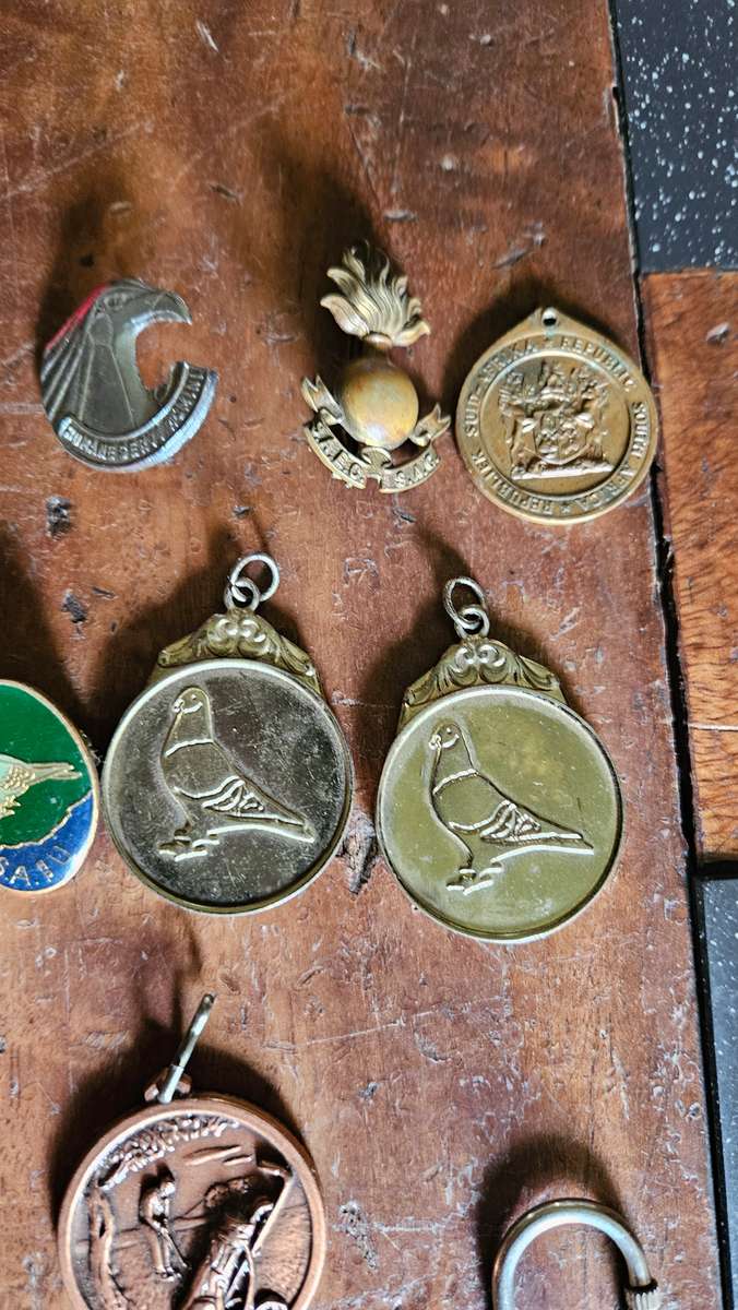 Variety Lot of Medals & More