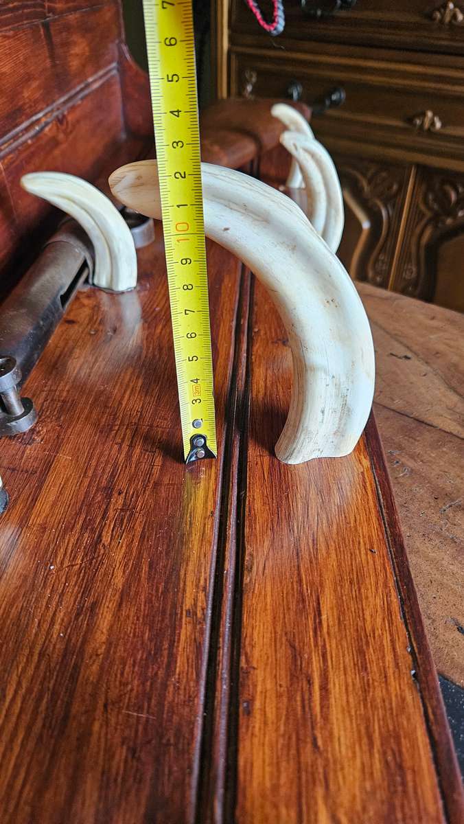 Antique 1920's BSA.22 Rifle on Wooden Wall Mount