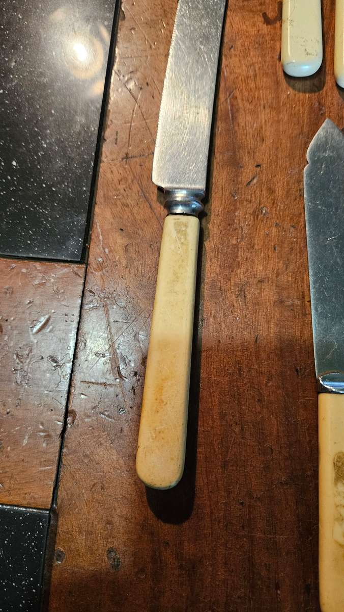 Vintage Bone Handle Knives