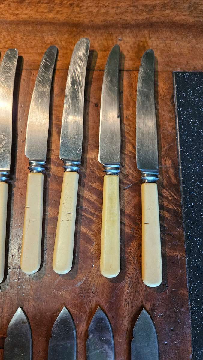 Vintage Bone Handle Knives