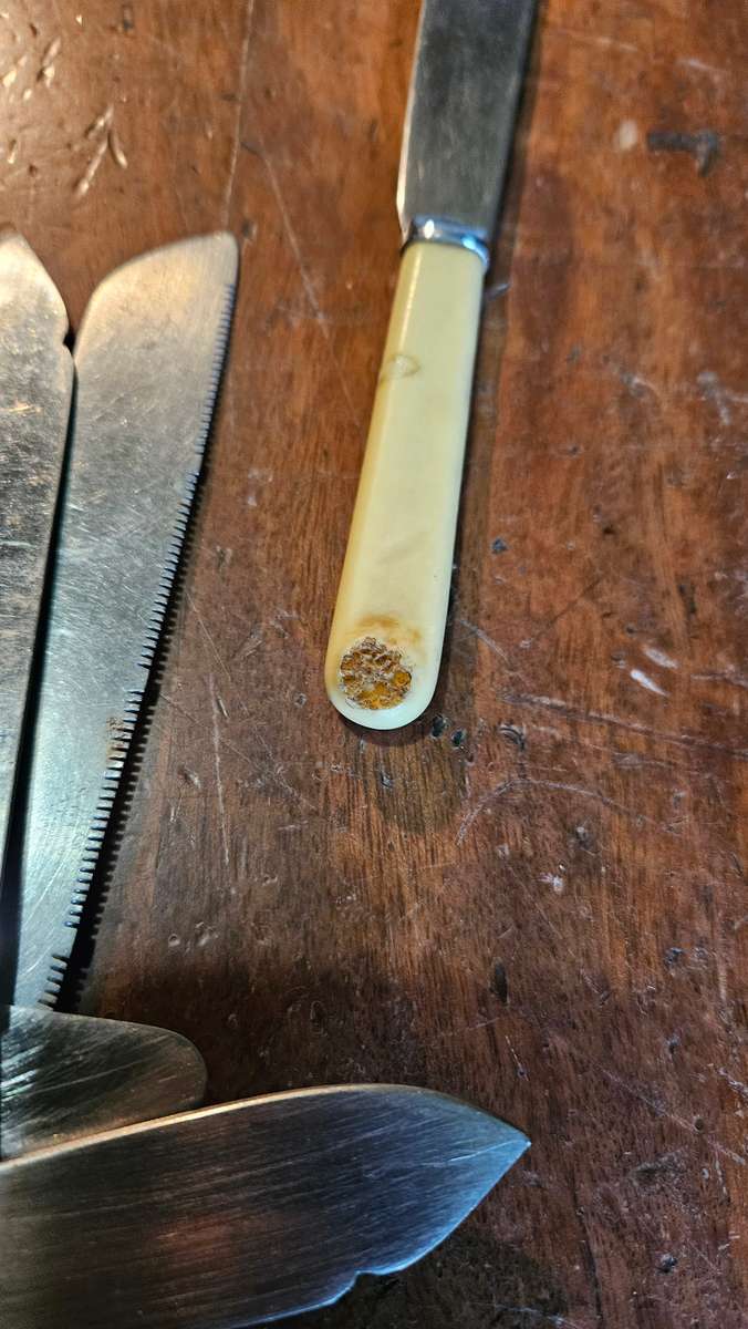 Vintage Bone Handle Knives