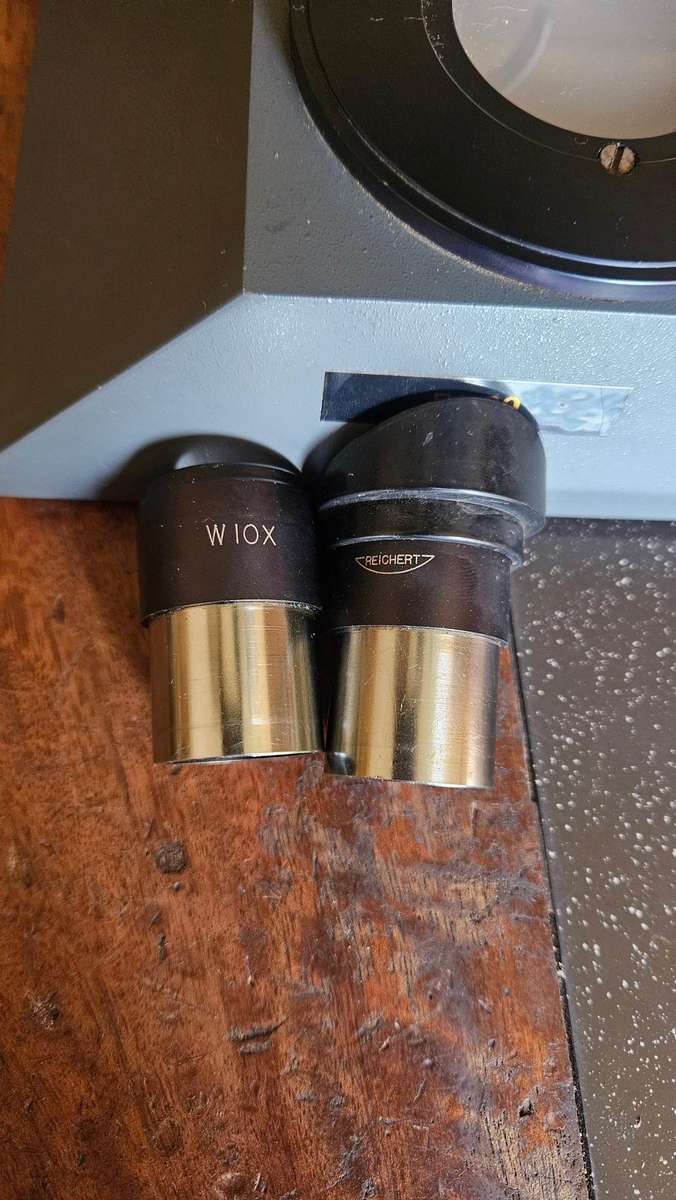 Reichert Stereo Microscope