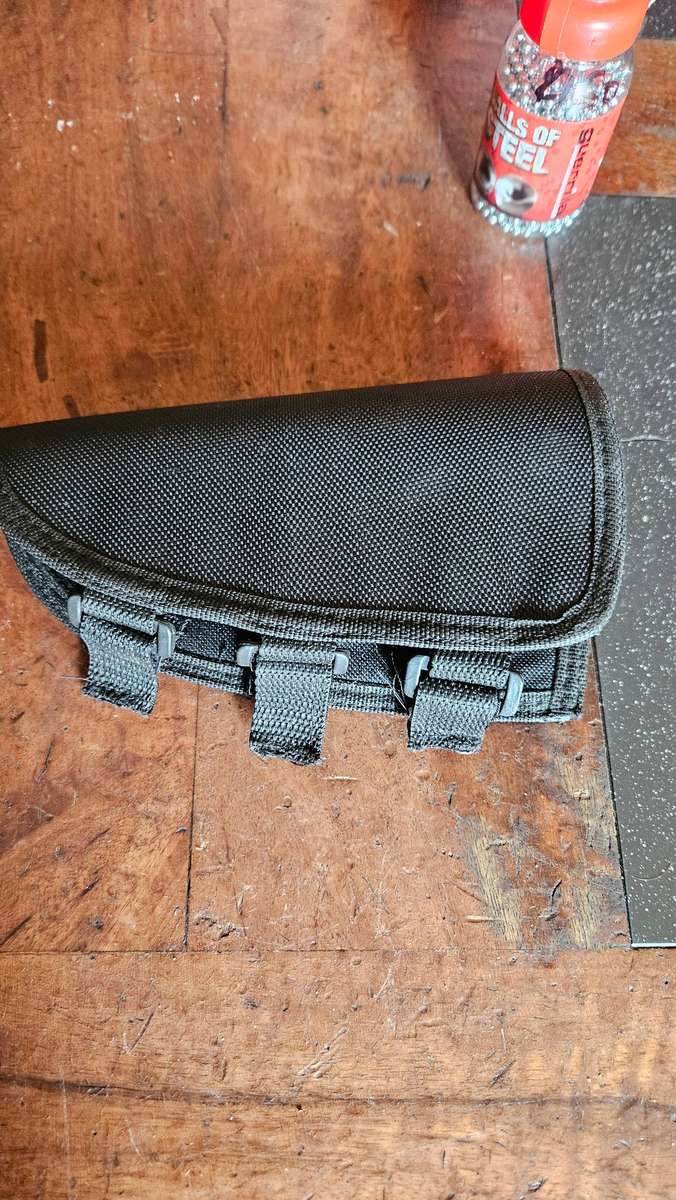 Sig Sauer SP 2022 Pistol & Holster