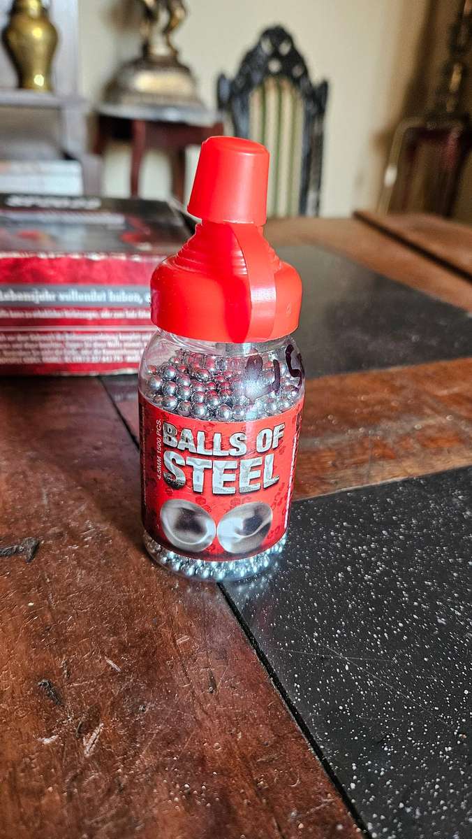 Sig Sauer SP 2022 Pistol & Holster