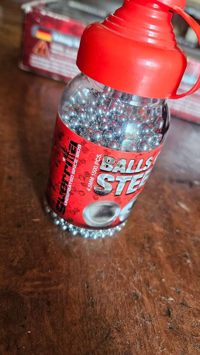 Sig Sauer SP 2022 Pistol & Holster