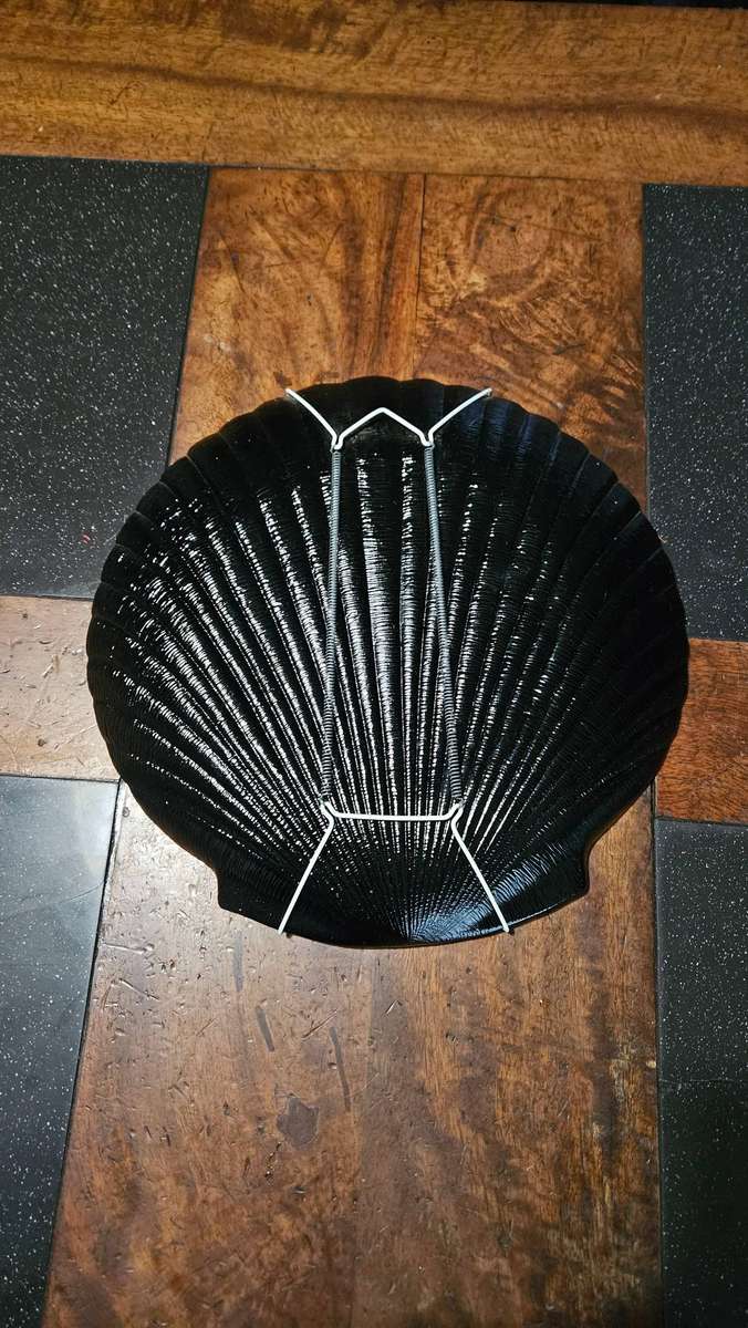 Vintage Hand Painted Floral Motif on Shell Plate