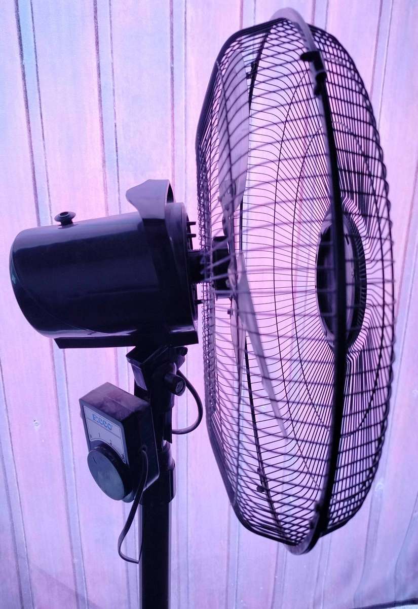 Ecco Pedestal Fan (for spares or repair) Buzz when turned on, does not rotate