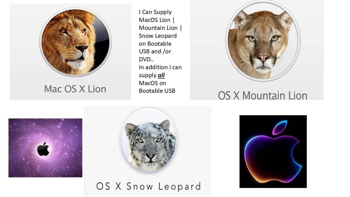 APPLE MacOS BOOTABLE SOFTWARE INSTALLER ON USB