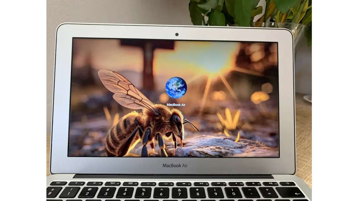 "BLACK FRIDAY" APPLE MACBOOK AIR RARE 11"  LATE 2010 |  MACOS MONTEREY