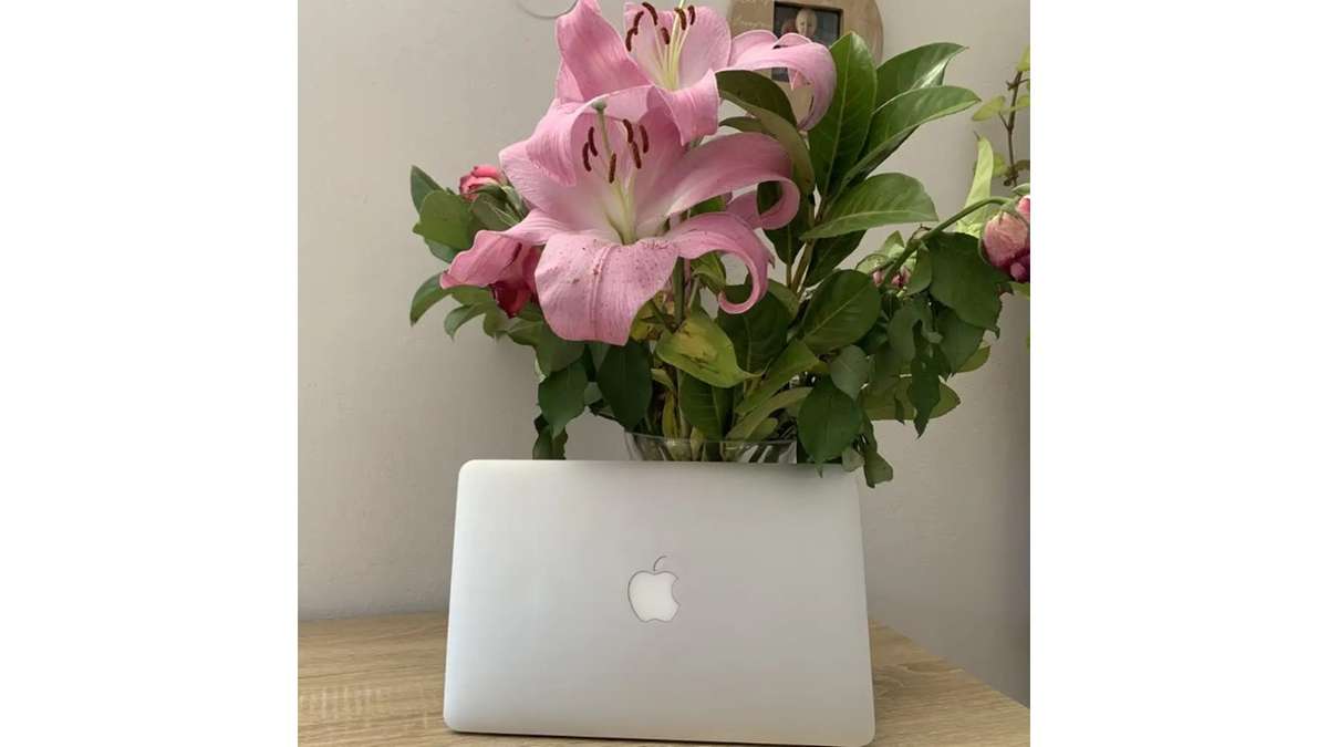 "BLACK FRIDAY" APPLE MACBOOK AIR RARE 11"  LATE 2010 |  MACOS MONTEREY