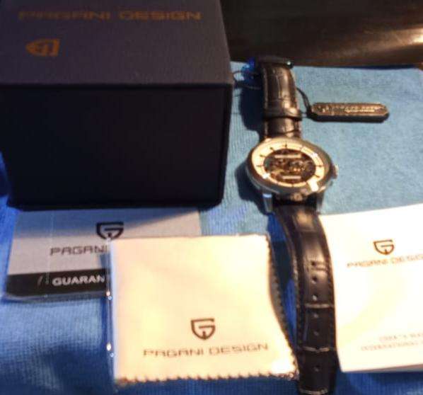 PAGANI DESIGN Brand Fashion Leather Gold Watch Men Automatic Mechanical Skeleton Waterproof Watch