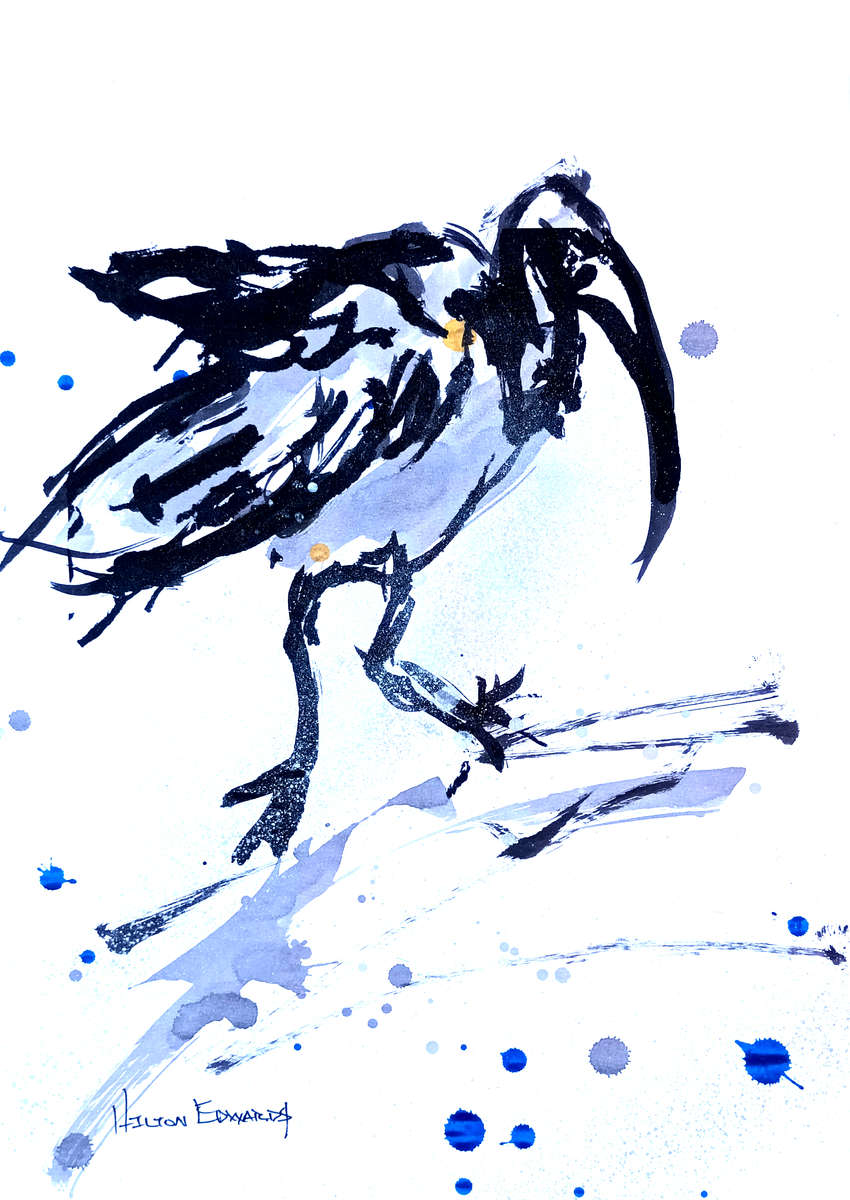 Hilton Edwards Abstract Art Painting - Hadeda Series