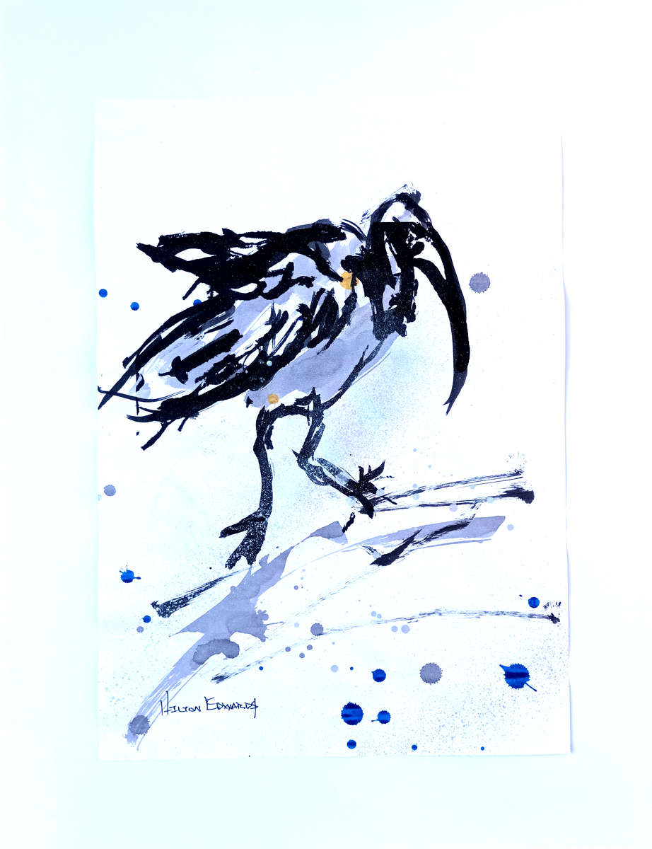 Hilton Edwards Abstract Art Painting - Hadeda Series