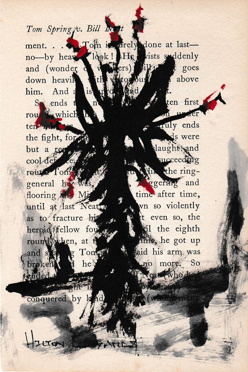 Hilton Edwards - aloe series