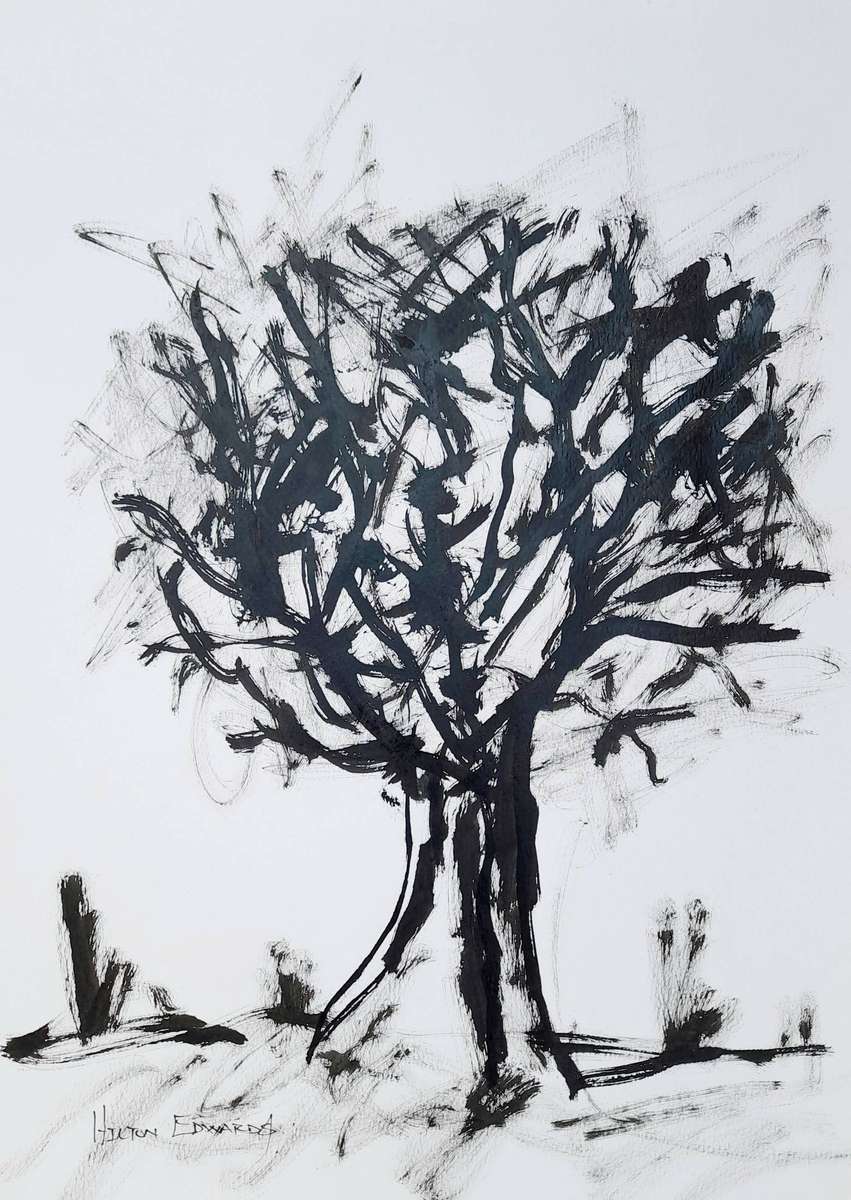 Hilton Edwards - baobab series