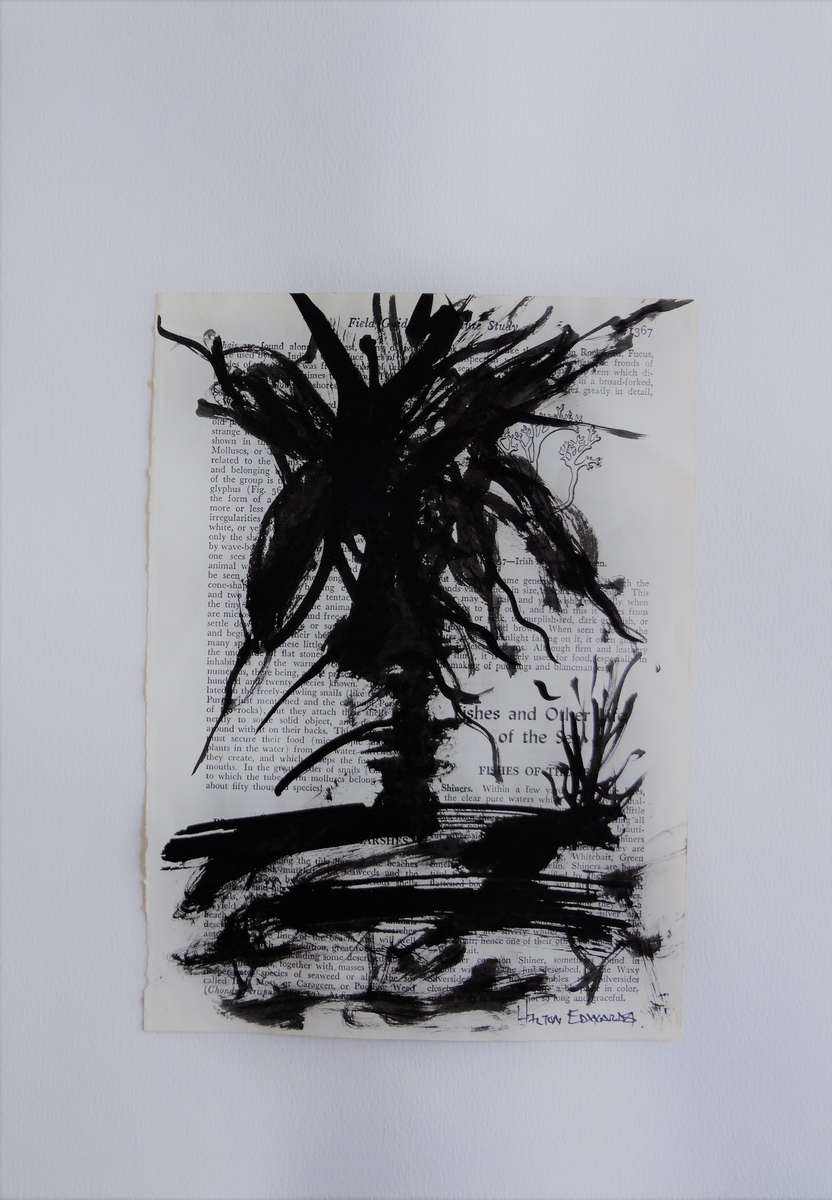 Hilton Edwards - aloe series